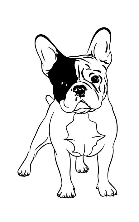 Французський бульдог